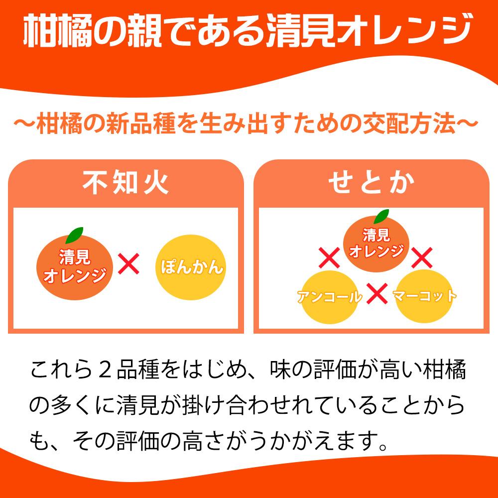 とにかくジューシー清見オレンジ　5kg【2025年3月下旬以降発送】【先行予約】【UT53】