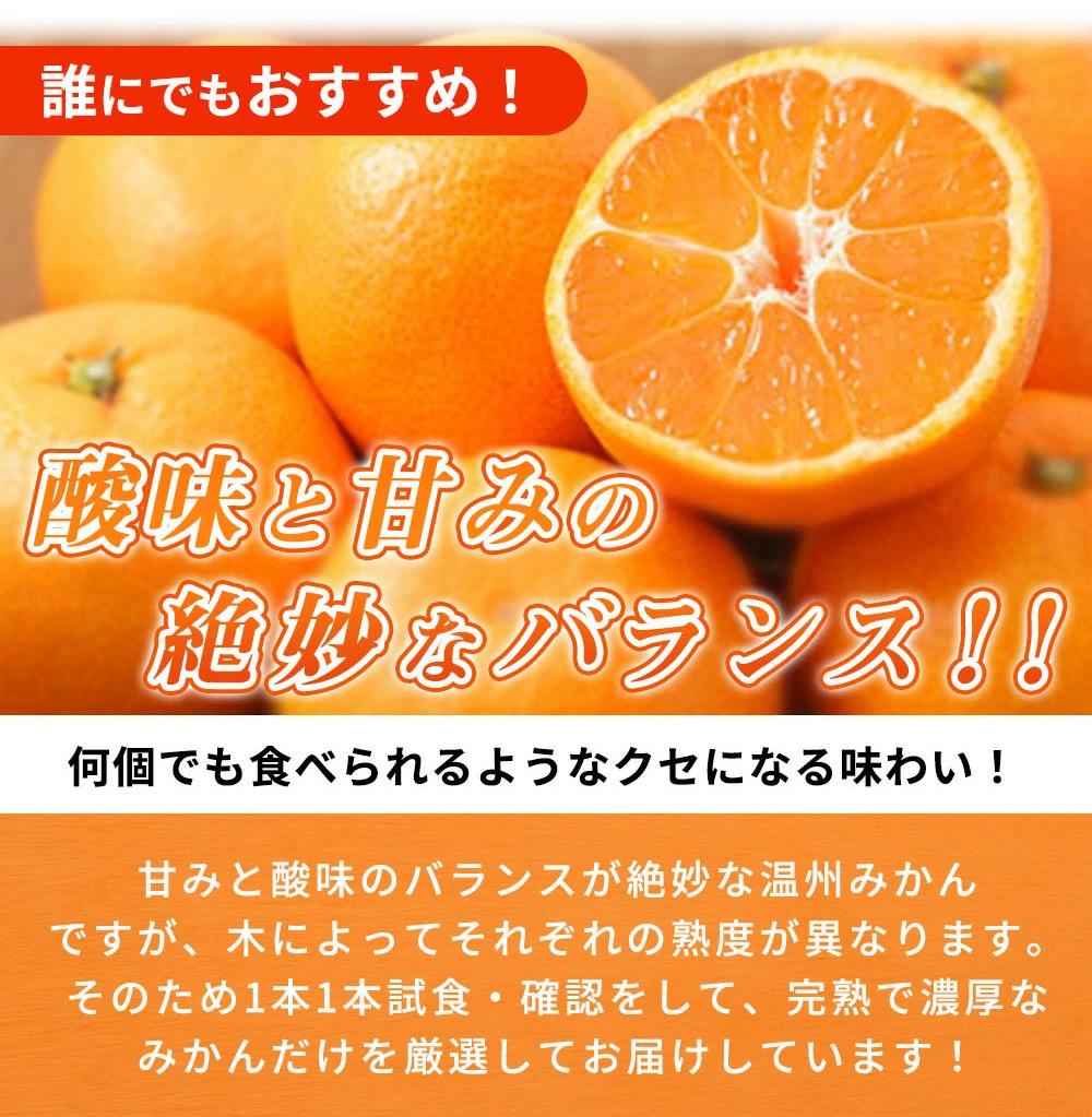 【ご家庭用訳アリ】紀州有田産温州みかん7.5kg【先行予約】【UT10】