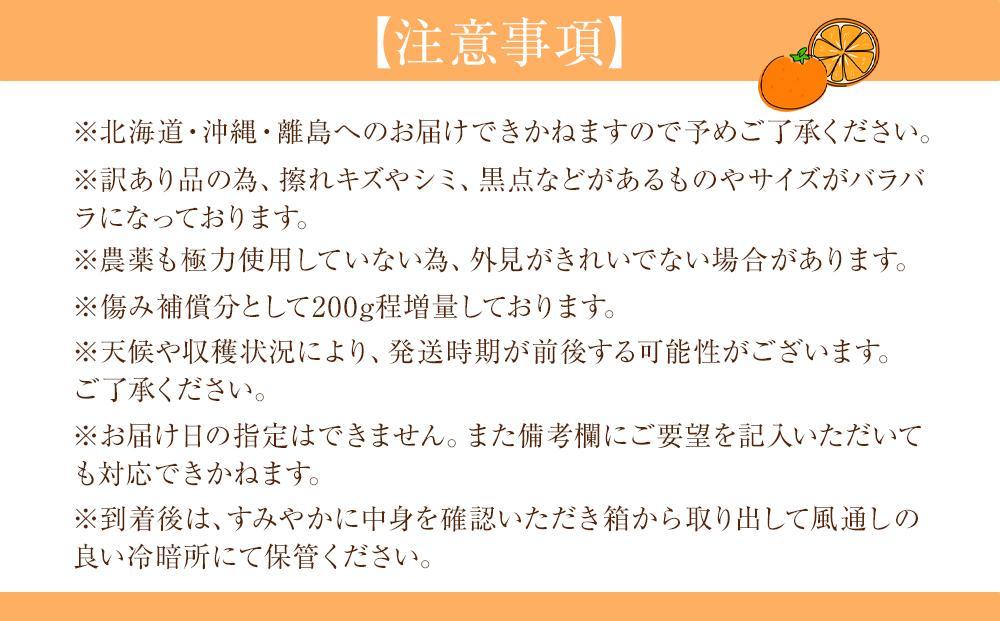 訳あり 森本農園の手選別 清見オレンジ 7kg +200g傷み補償付 和歌山県産 サイズ混合 【北海道・沖縄・離島配送不可】【RN24】