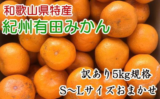 【訳あり】和歌山有田みかん約5kg（S〜Lサイズいずれかお届け）★2024年11月中旬頃より順次発送【TM81】