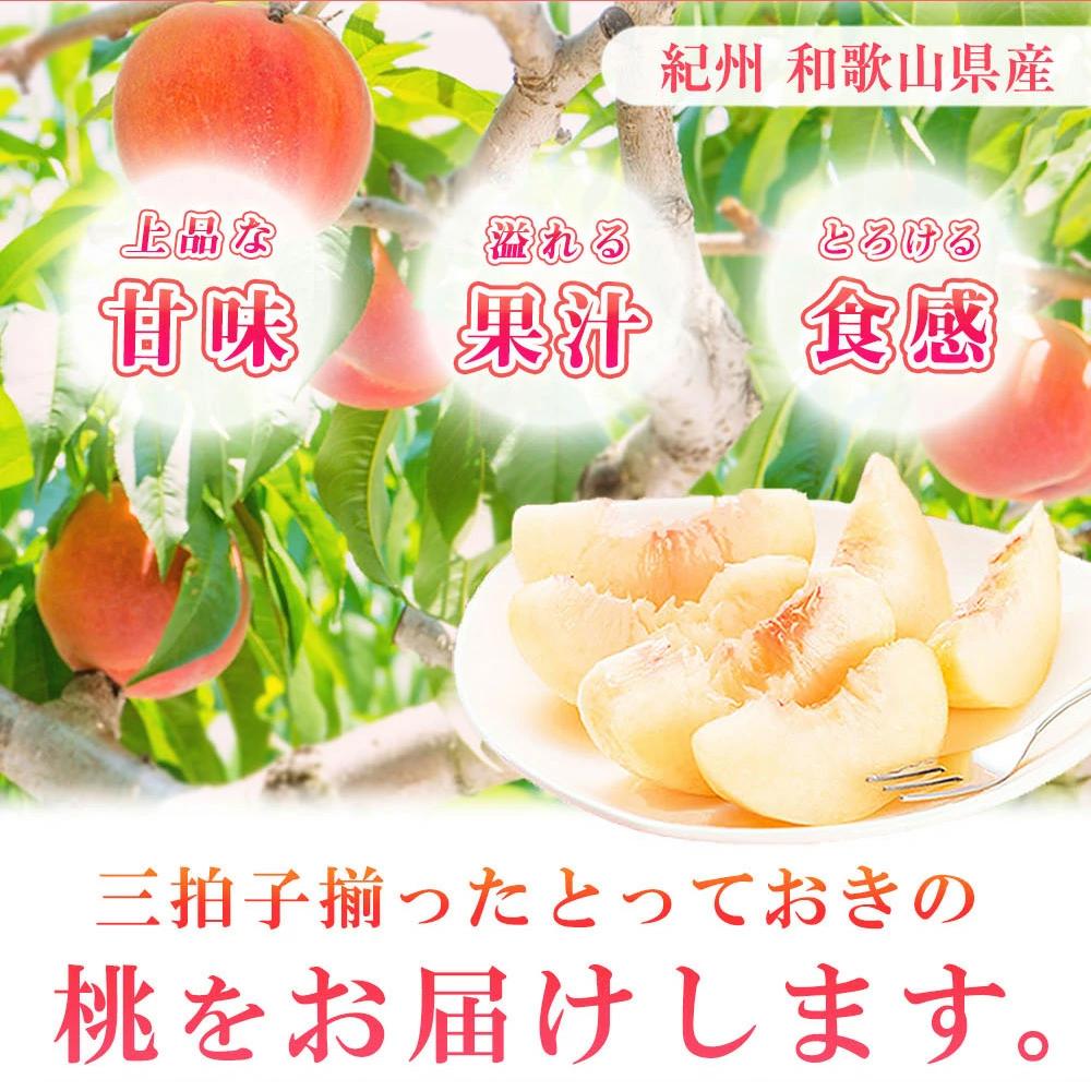 紀州和歌山産の桃　約1．8kg　化粧箱入【2025年7月上旬より順次発送】【UT52】