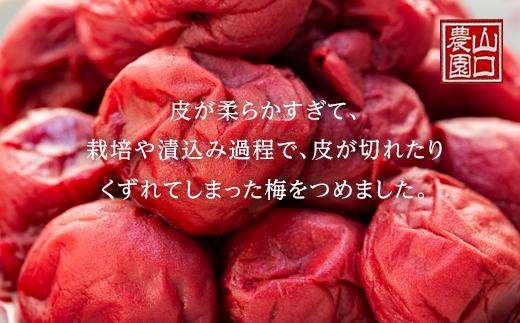 完熟南高梅使用　くずれ梅　しそ熊野梅干　1.5kg（500g×3）まろやか仕立て（塩分10％）【訳あり】