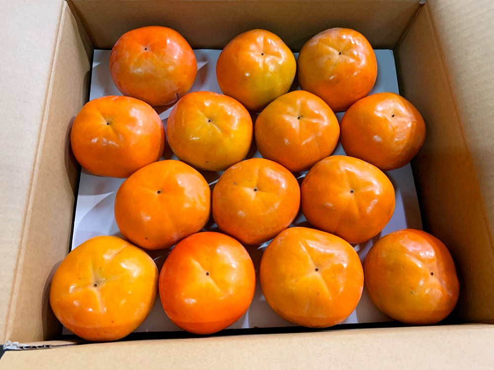 和歌山秋の味覚 富有柿 約7.5kg【2023年11月上旬頃より発送】