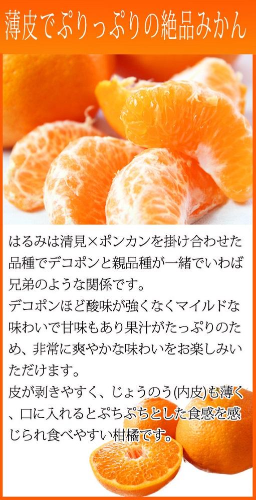 果肉ぷりぷり!完熟はるみ　５ｋｇ【2025年2月上旬頃～2025年2月下旬頃に順次発送】【UT22】