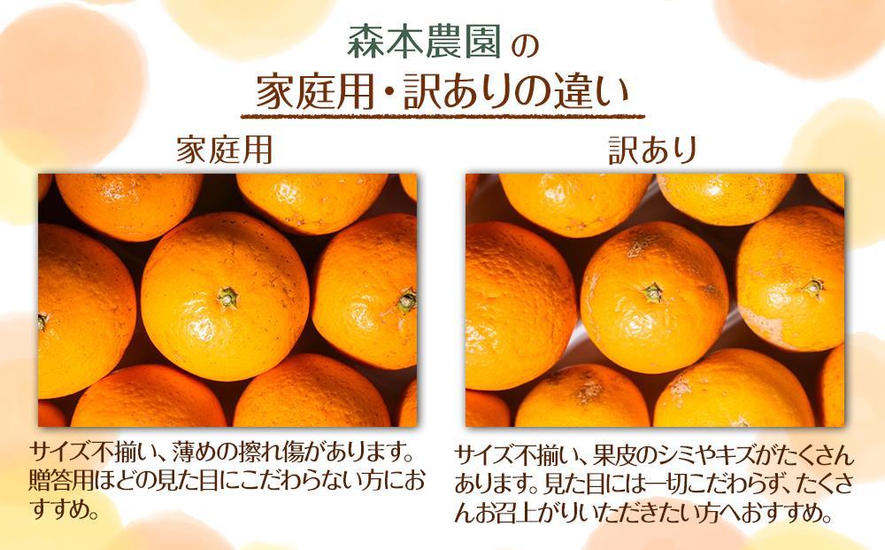 家庭用 森本農園の手選別 極早生みかん 5kg +200g傷み補償付 和歌山県産 2S~2Lサイズ混合 【北海道・沖縄・離島配送不可】【RN2】