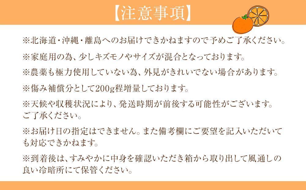 家庭用 森本農園の手選別ネーブルオレンジ 7kg +200g傷み補償付 和歌山県産 サイズ混合 【北海道・沖縄・離島配送不可】【RN34】