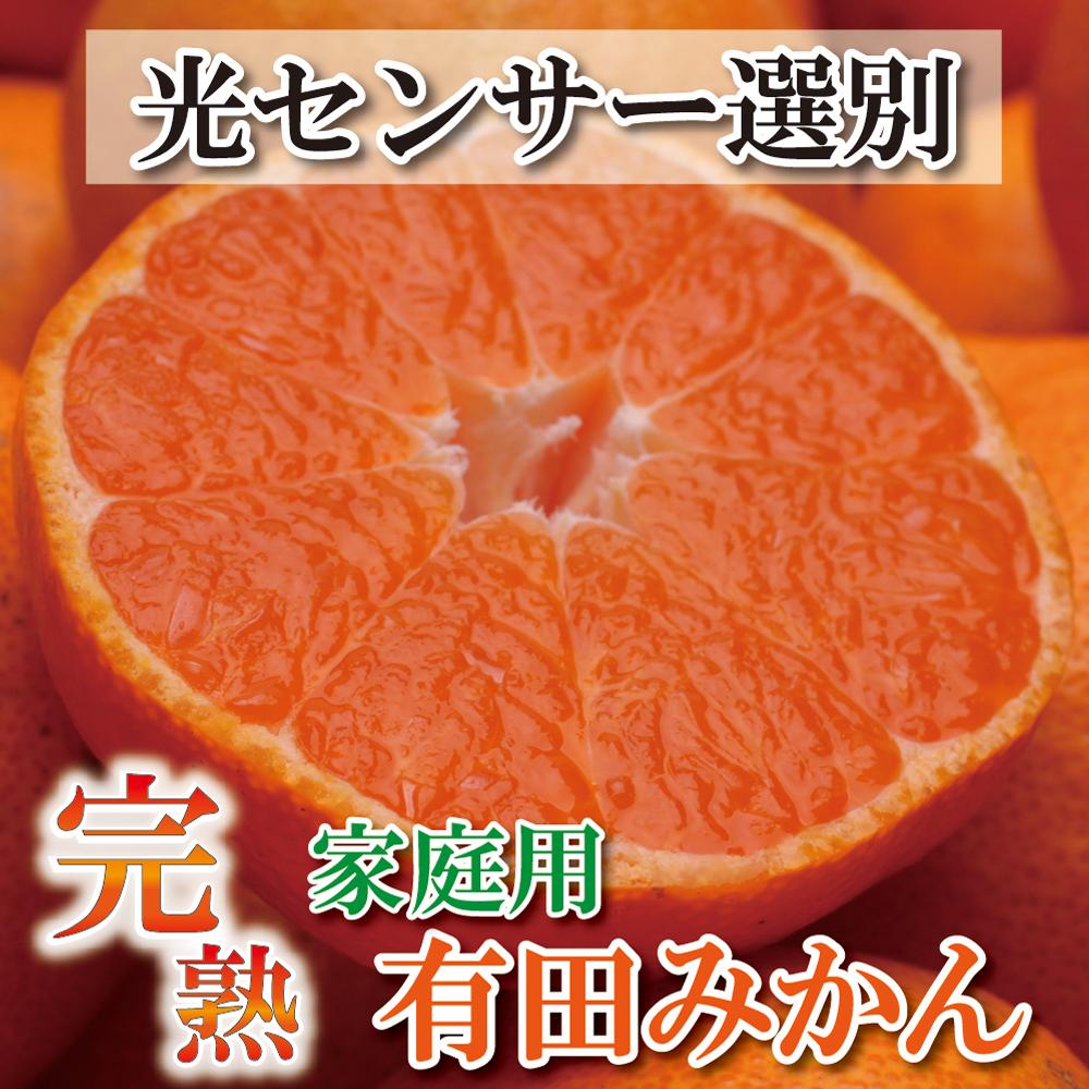 ＜11月より発送＞家庭用　完熟有田みかん8kg+240g（傷み補償分）【わけあり・訳あり】【光センサー選果】