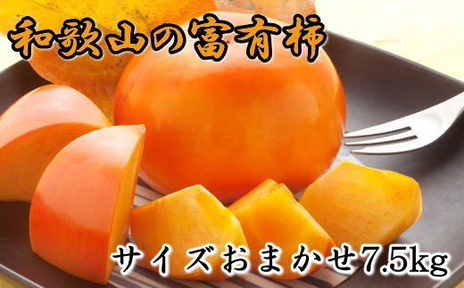  [甘柿の王様]和歌山産富有柿　約7.5kg サイズおまかせ★2024年11月上旬頃より順次発送