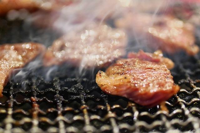 熊野牛 希少部位 カイノミ・ササミ 焼肉用 500g