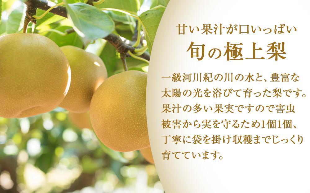 先行予約 旬の梨 極上 秀品（中玉～大玉）6～8個入り 【2025年8月末頃～9月中旬頃発送】【KG23】