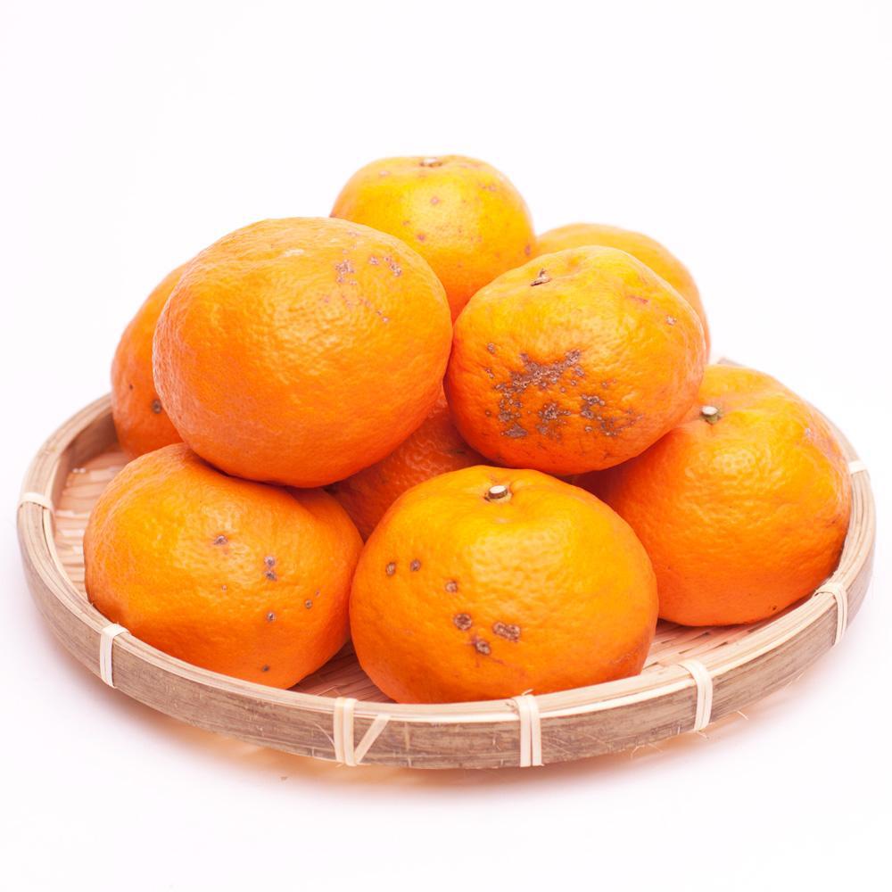 ＜4月より発送＞家庭用カラマンダリン3.5kg+105g（傷み補償分）【希少な春柑橘】【みかんと同じように食べられます】