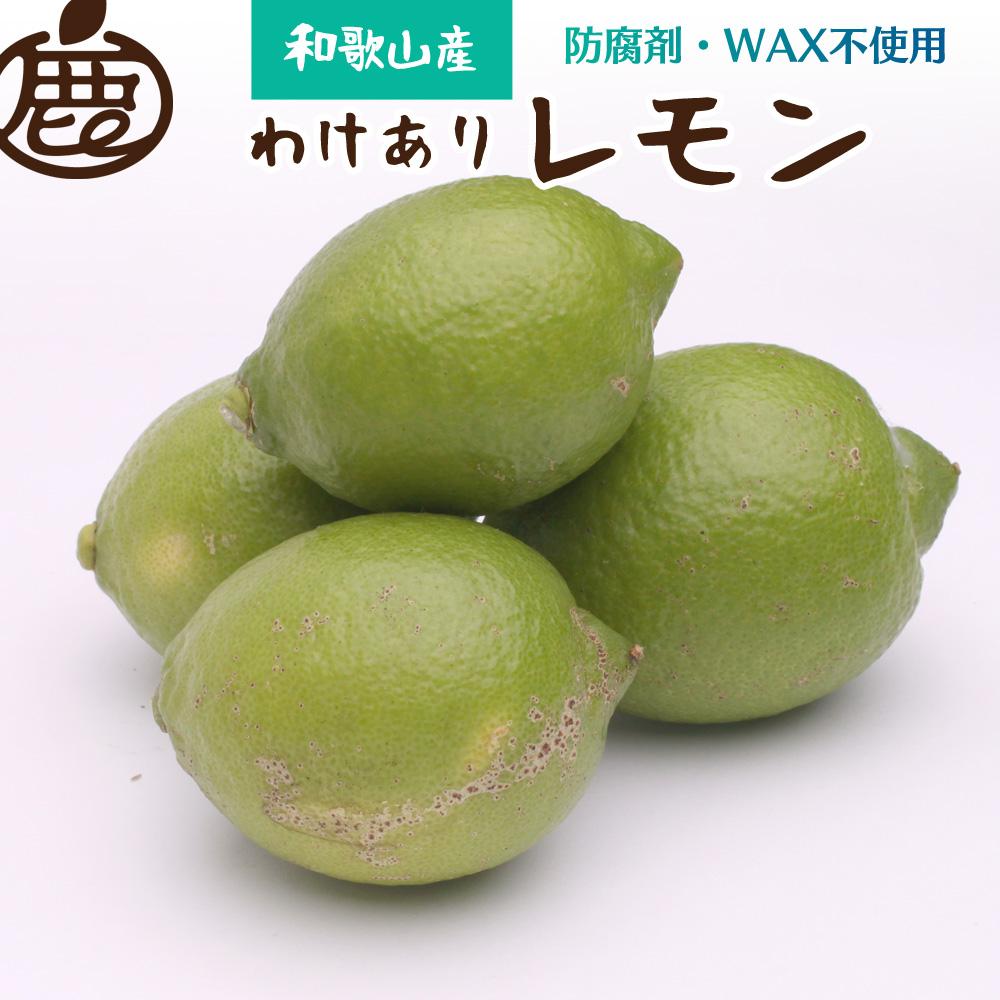 ＜9月より発送＞家庭用 黒潮レモン4kg+120g（傷み補償分）【和歌山有田産】【防腐剤・WAX不使用、安心の国産レモン】【わけあり・訳ありレモン】