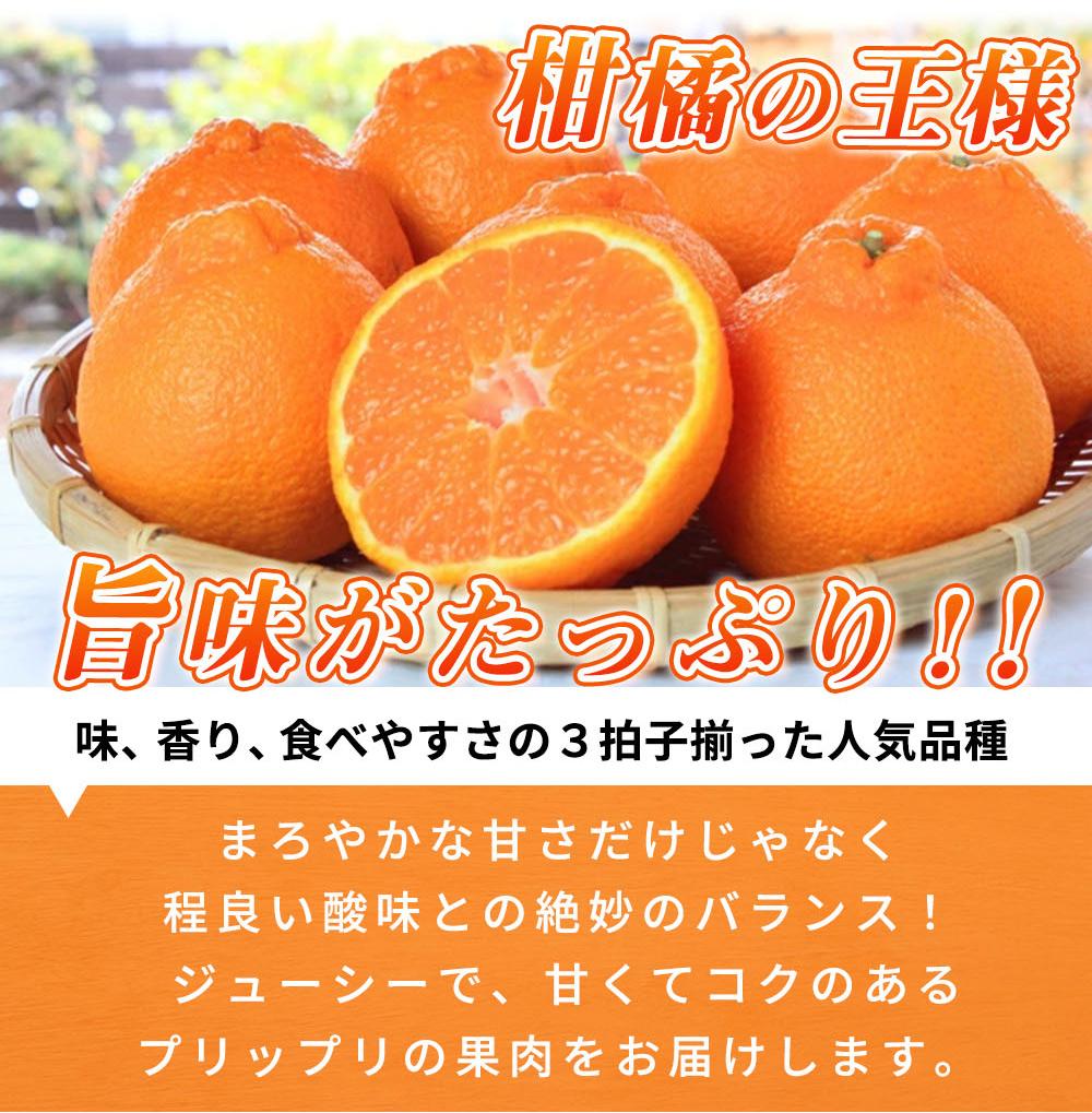 完熟紀州デコ(不知火) 約3kg　果肉プリプリ♪【2025年2月下旬以降発送】【先行予約】【UT42】