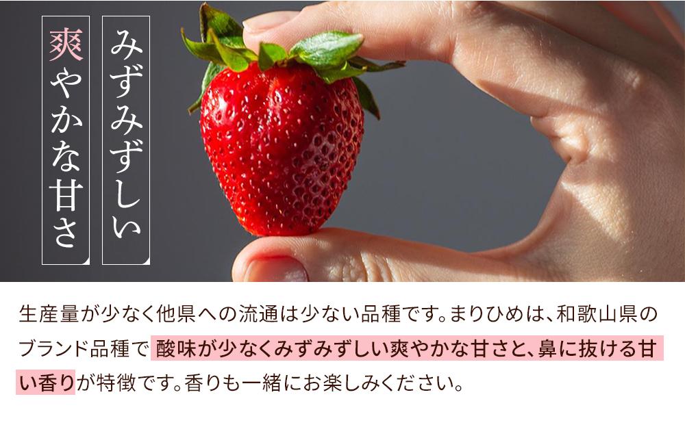 まりひめイチゴ L～２L 12粒～15粒×4パック【2025年1月初旬から発送】【先行販売】【KG8】