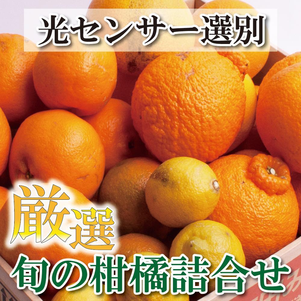 ＜1月より発送＞厳選 柑橘詰合せ3kg+90g（傷み補償分）【有田の春みかん詰め合わせ・フルーツ詰め合せ・オレンジつめあわせ】【光センサー選別】