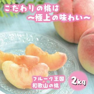 フルーツ王国　和歌山の桃　約２kg（fr-06）【先行予約】【2024年6月中旬〜7月下旬発送】