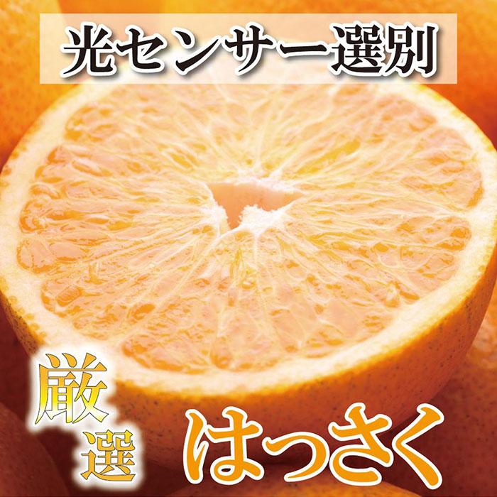 ＜4月より発送＞厳選 樹上完熟はっさく4kg+120g（傷み補償分）【八朔】【さつき・木成】