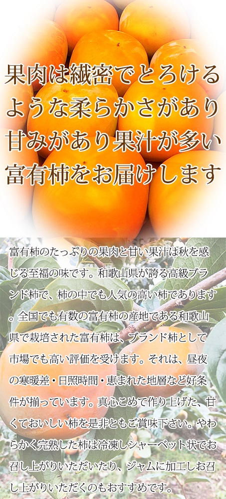 和歌山秋の味覚 富有柿 約7.5kg【2023年11月上旬頃より発送】