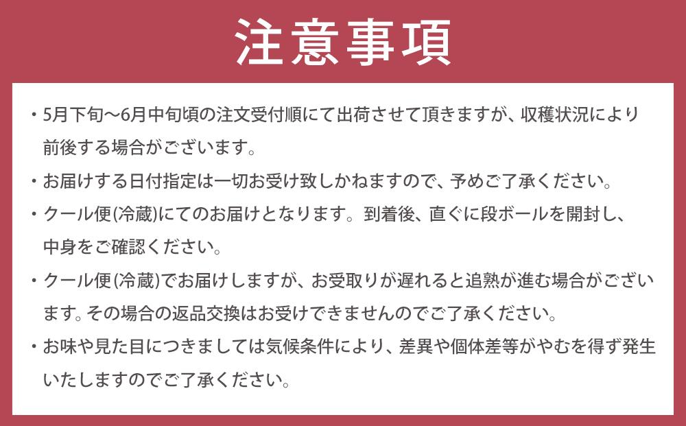 【2025年5月下旬以降発送】訳あり 紀州南高梅(青梅) 2.5kg〈Lサイズ〉