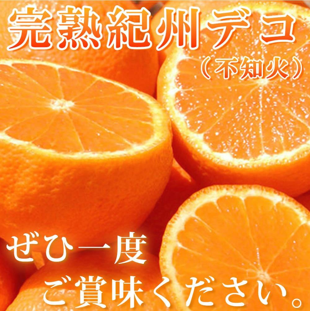 完熟紀州デコ(不知火) 約3kg　果肉プリプリ♪【2025年2月下旬以降発送】【先行予約】【UT42】