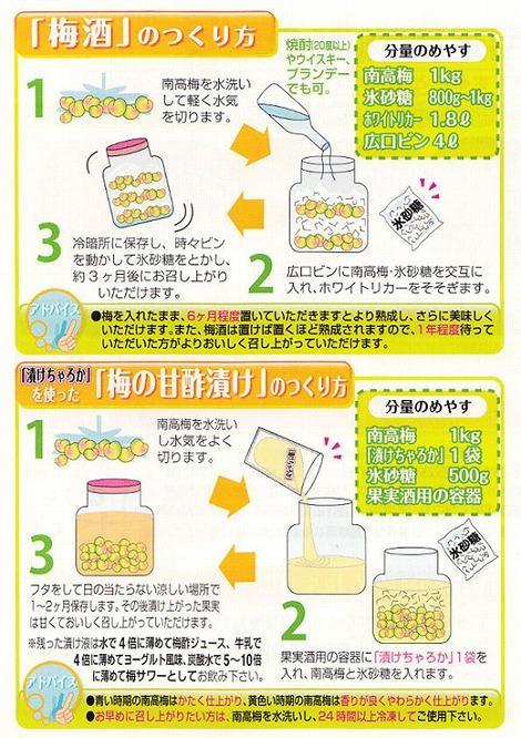 【梅干・梅酒用】（LまたはM－10Kg）熟南高梅＜2025年6月上旬～7月7日発送予定＞フルーツ 果物 くだもの 食品 人気 おすすめ 送料無料【ART08】