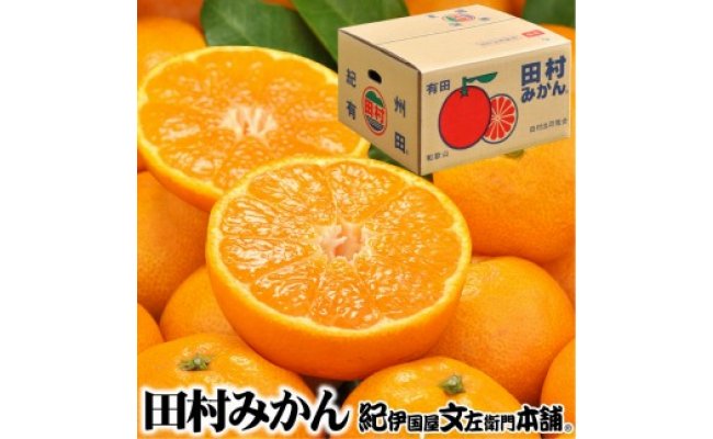 みかん・柑橘類の返礼品 ふるさとパレット ～東急グループのふるさと納税～