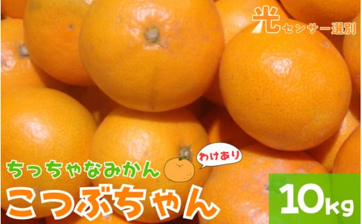 [訳あり]3S ちっちゃな有田みかん 10kg ※2024年11月中旬から順次発送予定(お届け日指定不可)※北海道・沖縄・離島への配送不可 みかん ミカン 蜜柑 柑橘 フルーツ 果物 くだもの 温州みかん 訳ありみかん 柑橘 有田[nuk164A]