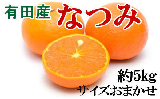 【希少柑橘】有田産なつみ約5kg（S～2Lサイズおまかせ）　※2024年4月上旬～4月下旬頃に順次発送（お届け日指定不可）