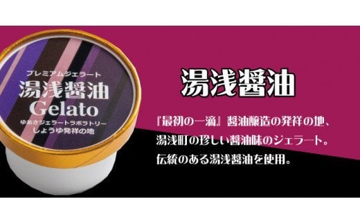 プレミアムジェラート 湯浅醤油12個セット アイスクリームセット 100mlカップ ゆあさジェラートラボラトリー