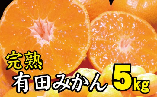 【2022年12月以降発送予約分】【農家直送】完熟有田みかん 約5kg 有機質肥料100%  サイズ混合　※2022年12月上旬～2023年1月下旬に順次発送予定（お届け日指定不可）