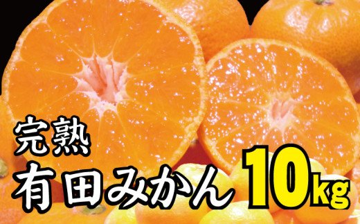 【2022年12月以降発送予約分】【農家直送】完熟有田みかん 約10kg  有機質肥料100% 　サイズ混合　※2022年12月上旬～2023年1月下旬に順次発送予定（お届け日指定不可）