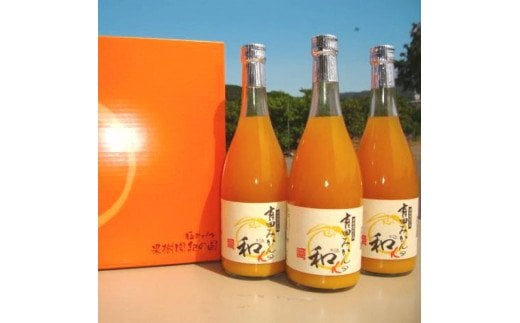 有田みかんの和α（なごみアルファ）720ml×3本