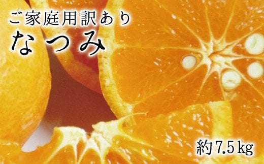 【ご家庭用訳アリ】初夏のみかん なつみ7.5kg　※2025年4月中旬～2054年4月下旬頃に順次発送予定(お届け日指定不可)