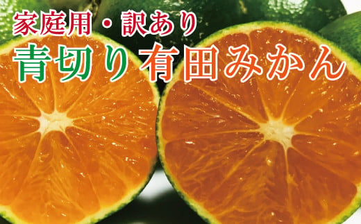 【先行予約】【2023年9月発送】【初秋の美味】【農家直送】有田育ちのご家庭用訳あり濃厚青切り有田みかん　約5kg