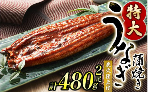 【予約 土用の丑の日までに届く】【2024年7月20日～24日にお届け】1尾で約240gのビッグサイズ うなぎ蒲焼 2尾 計約480g （タレ・山椒付き） 中国産 鰻 うなぎ うなぎの蒲焼 炭火焼き 炭火 特大サイズ【nks700A-dy】