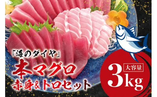 本マグロ（養殖）トロ＆赤身セット 3kg 【1ヶ月以内に発送】まぐろ 刺身 鮪 本鮪 クロマグロ 赤身 中とろ 大容量 まぐろたたき まぐろ丼