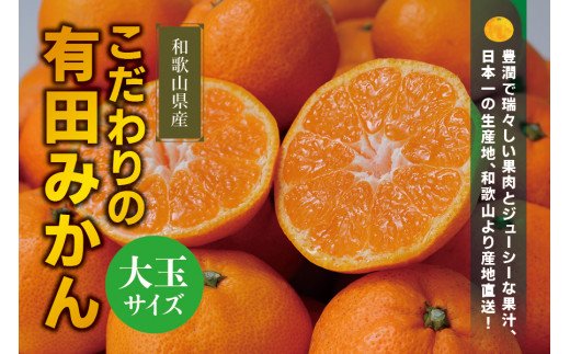 【農家直送】有田みかん　約10kg 大玉3L以上　有機質肥料100%　※2022年12月初旬～1月中旬に順次発送(お届け日指定不可) 