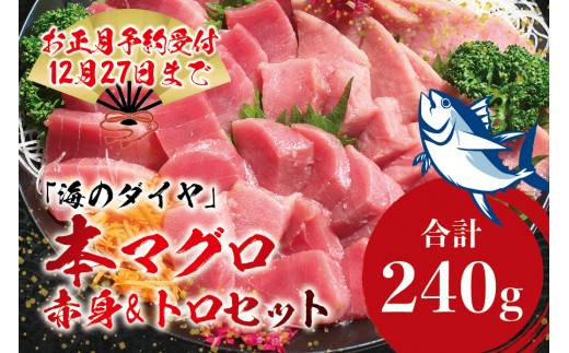 本マグロ（養殖）トロ＆赤身セット 240g 【12月発送】まぐろ 刺身 鮪 本鮪 クロマグロ 赤身 中とろ まぐろたたき まぐろ丼