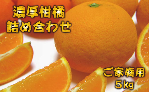 有田育ちの濃厚柑橘詰め合わせセット(ご家庭用)　約5kg　※2023年3月下旬～5月下旬順次発送予定