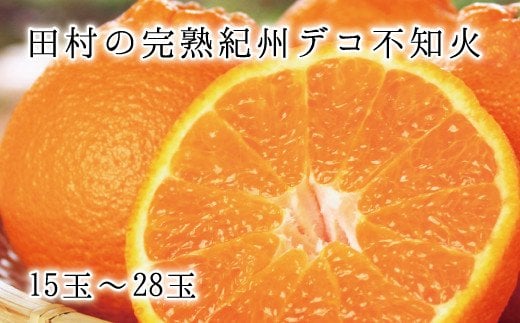 高級ブランド田村の完熟紀州デコ(不知火)　※2025年2月中旬頃～2025年3月中旬頃に順次発送予定(お届け日指定不可) 