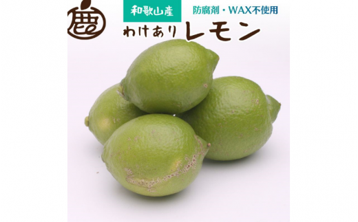 家庭用 黒潮レモン2kg+60g（傷み補償分）【和歌山有田産】【防腐剤・WAX不使用、安心の国産レモン】【わけあり・訳ありレモン】 ※北海道・沖縄・離島への配送不可 