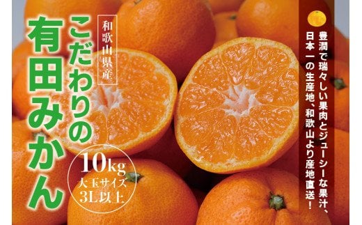 【農家直送】有田みかん 約10kg 大玉3L以上 有機質肥料100% ※2024年12月初旬～1月中旬に順次発送(お届け日指定不可)/みかん ミカン 温州みかん 柑橘 有田 和歌山 産地直送【nuk139D】