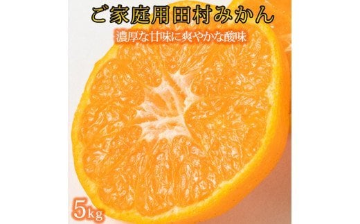 【ご家庭用訳あり】田村みかん　5kg　 ※2024年11月下旬頃～2025年1月下旬頃に順次発送