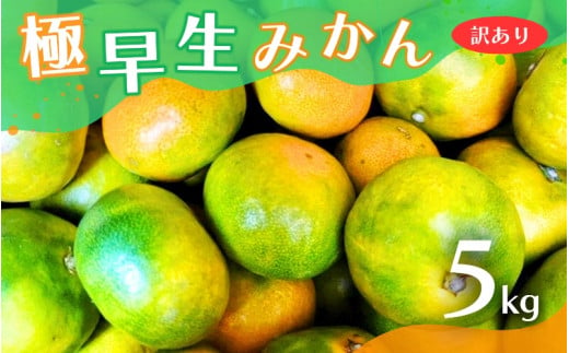 【2024年秋頃発送予約分】【訳あり】こだわりの極早生みかん 約5kg ※10月上旬より順次発送予定（お届け日指定不可） サイズ混合 有田産 / みかん ミカン 有田みかん 和歌山  訳あり フルーツ 果実 柑橘 くだもの 果物 【nuk165】