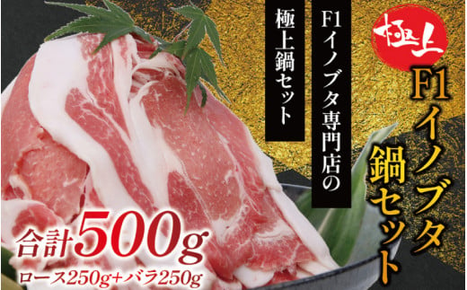 【数量限定】F1 イノブタ鍋セット (ロース250g・バラ250g・ギフトボックス) INOBUTA いのぶた  猪豚肉 小分け スライス