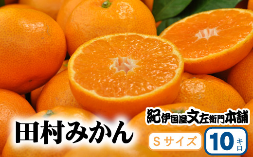 【予約受付】田村みかん 特選ギフト品 10kg【Sサイズ】赤秀/紀州和歌山有田郡湯浅町田村地区産 ◆2024年11月下旬～2025年1月中旬頃に発送(お届け日指定不可)　紀伊国屋文左衛門本舗