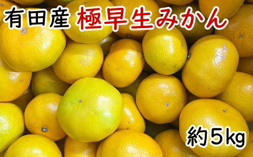 有田産極早生みかん約5kg（サイズ混合）　※2023年10月中旬～11月上旬頃発送予定（お届け日指定不可）