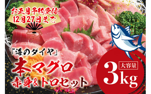 本マグロ（養殖）トロ＆赤身セット 3kg 【12月発送】 まぐろ 刺身 鮪 本鮪 クロマグロ 赤身 中とろ 大容量