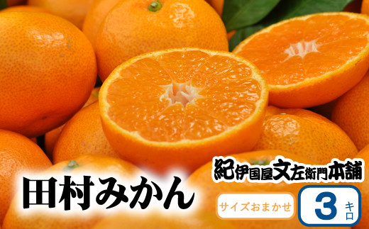 【予約受付】田村みかん 特選ギフト品 3kg サイズおまかせ 赤秀/紀州和歌山有田郡湯浅町田村地区産 ◆2024年11月下旬～2025年1月中旬頃に発送(お届け日指定不可)　紀伊国屋文左衛門本舗