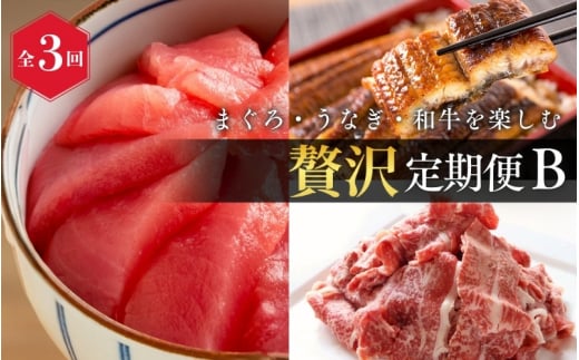 【全3回】まぐろ・うなぎ・和牛を楽しむ贅沢定期便B / 鮪 マグロ 刺身 鰻 ウナギ 蒲焼 熊野牛 肉 牛肉 和牛 黒毛和牛 赤身 こま切れ 【tkb387】